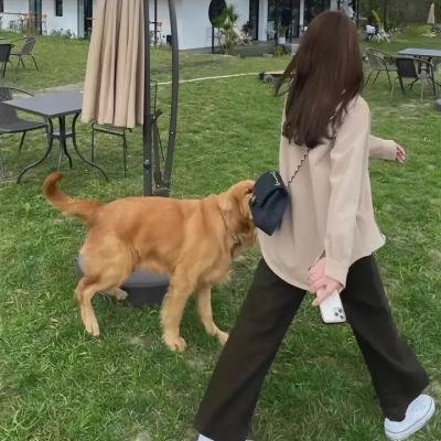 窃听大阴谋